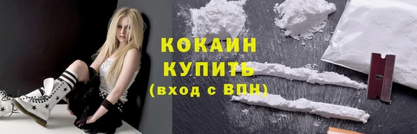 тгк Алзамай