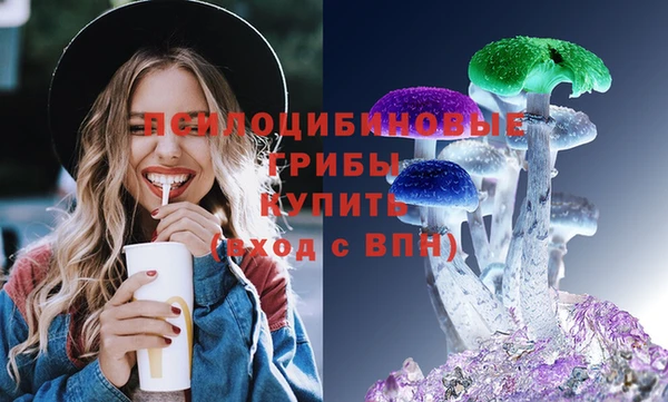 тгк Алзамай