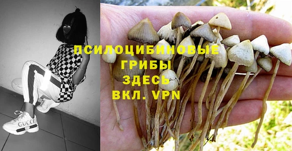 гашишное масло Алексеевка