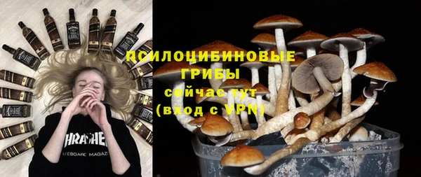 тгк Алзамай