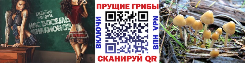 hydra ссылки  Киржач  Галлюциногенные грибы GOLDEN TEACHER 
