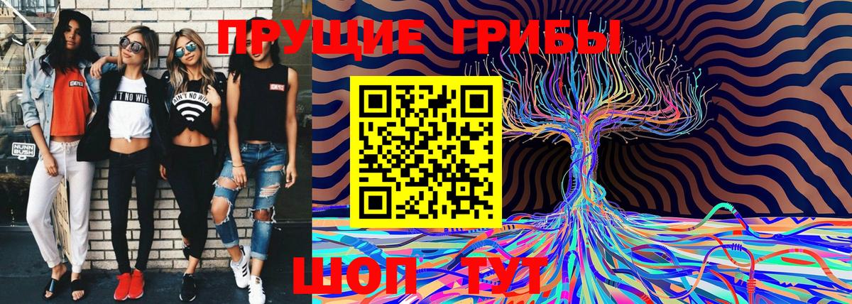 Киржач  как найти   Вход с VPN  Галлюциногенные грибы GOLDEN TEACHER  Галлюциногенные грибы Psilocybe 